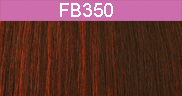 Color Type FB350.jpg